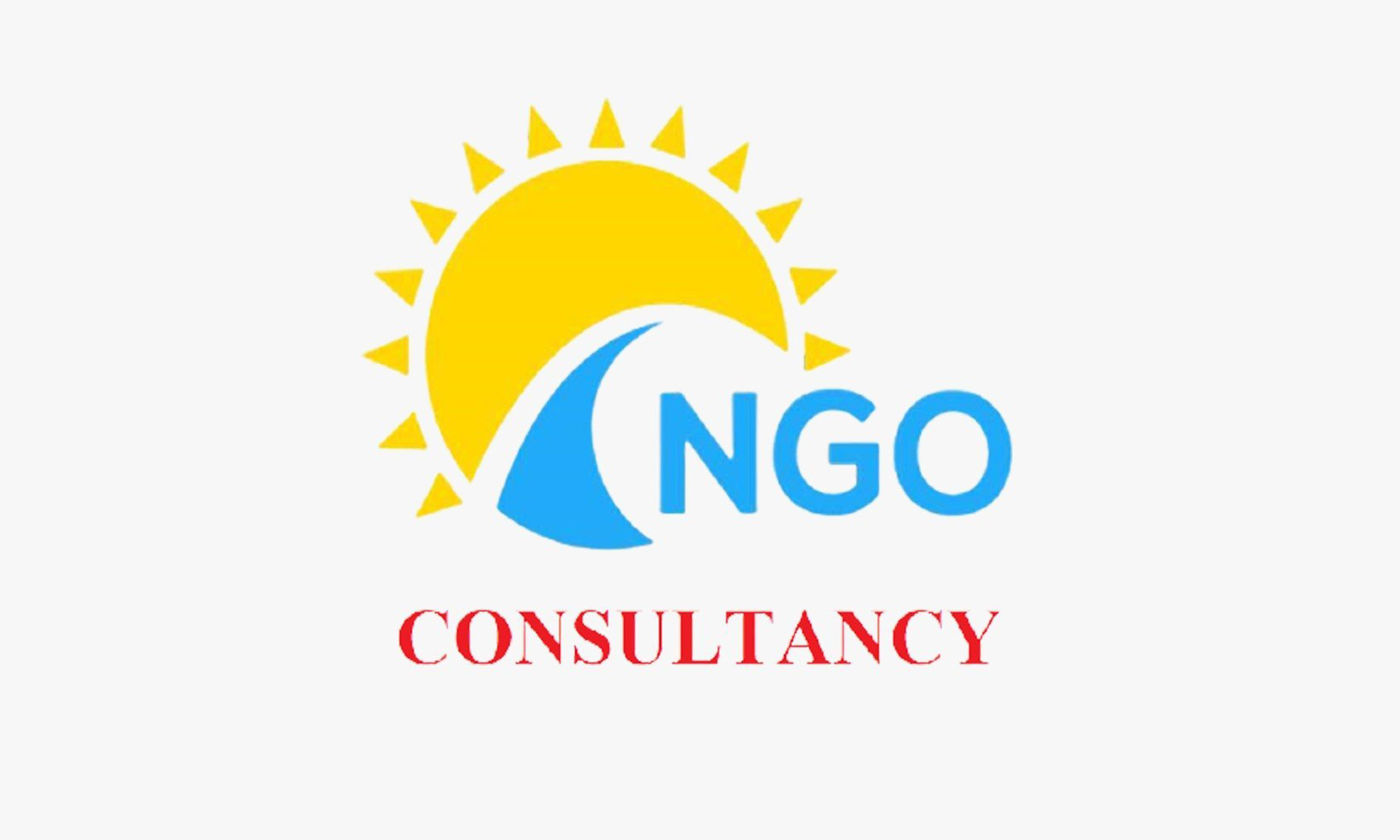 ngo-consultancy